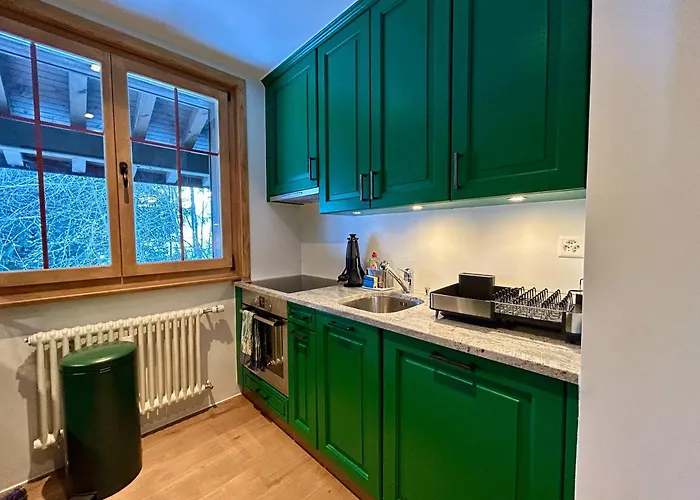 아파트 Beautiful Flat With Traditional Architecture Rougemont